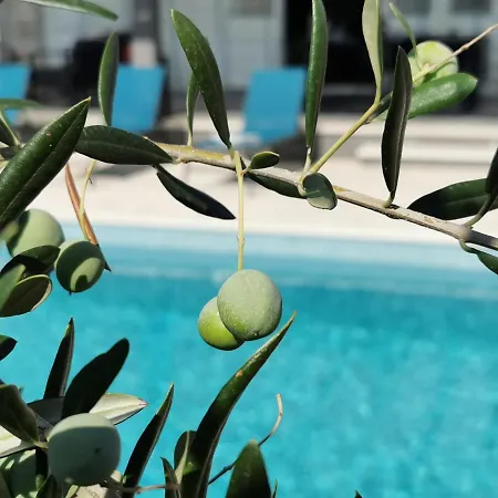 Sundowner * Šibenik