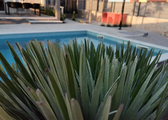 Sundowner שיבניק