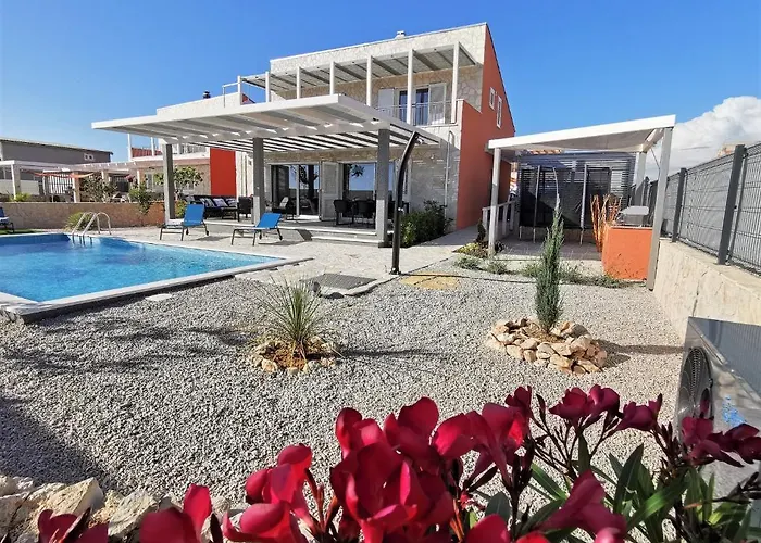 Sundowner * שיבניק