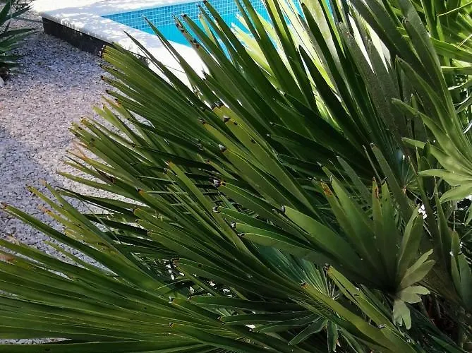 Sundowner וילה *