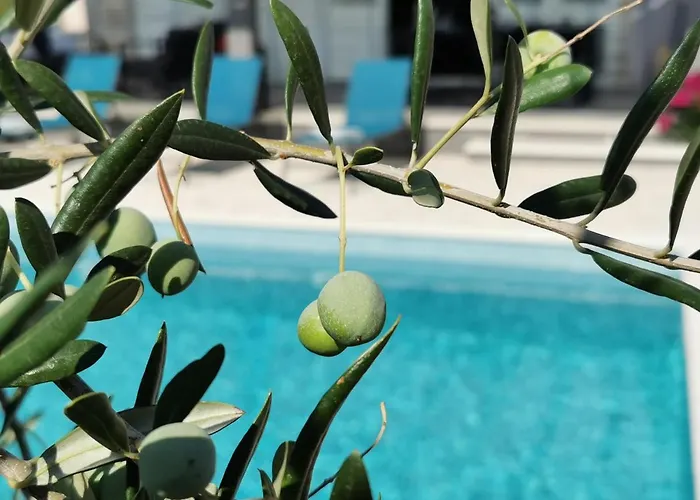 Sundowner * שיבניק